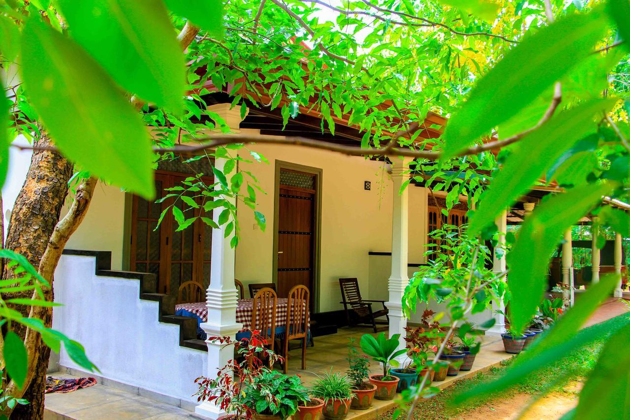 Sigiri Anu Homestay Sigiriya Exterior foto