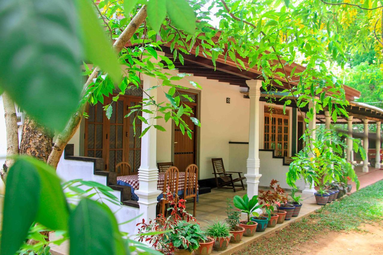 Sigiri Anu Homestay Sigiriya Exterior foto