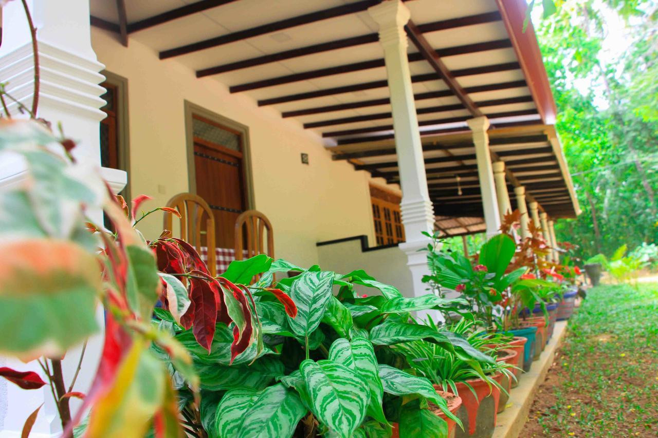 Sigiri Anu Homestay Sigiriya Exterior foto