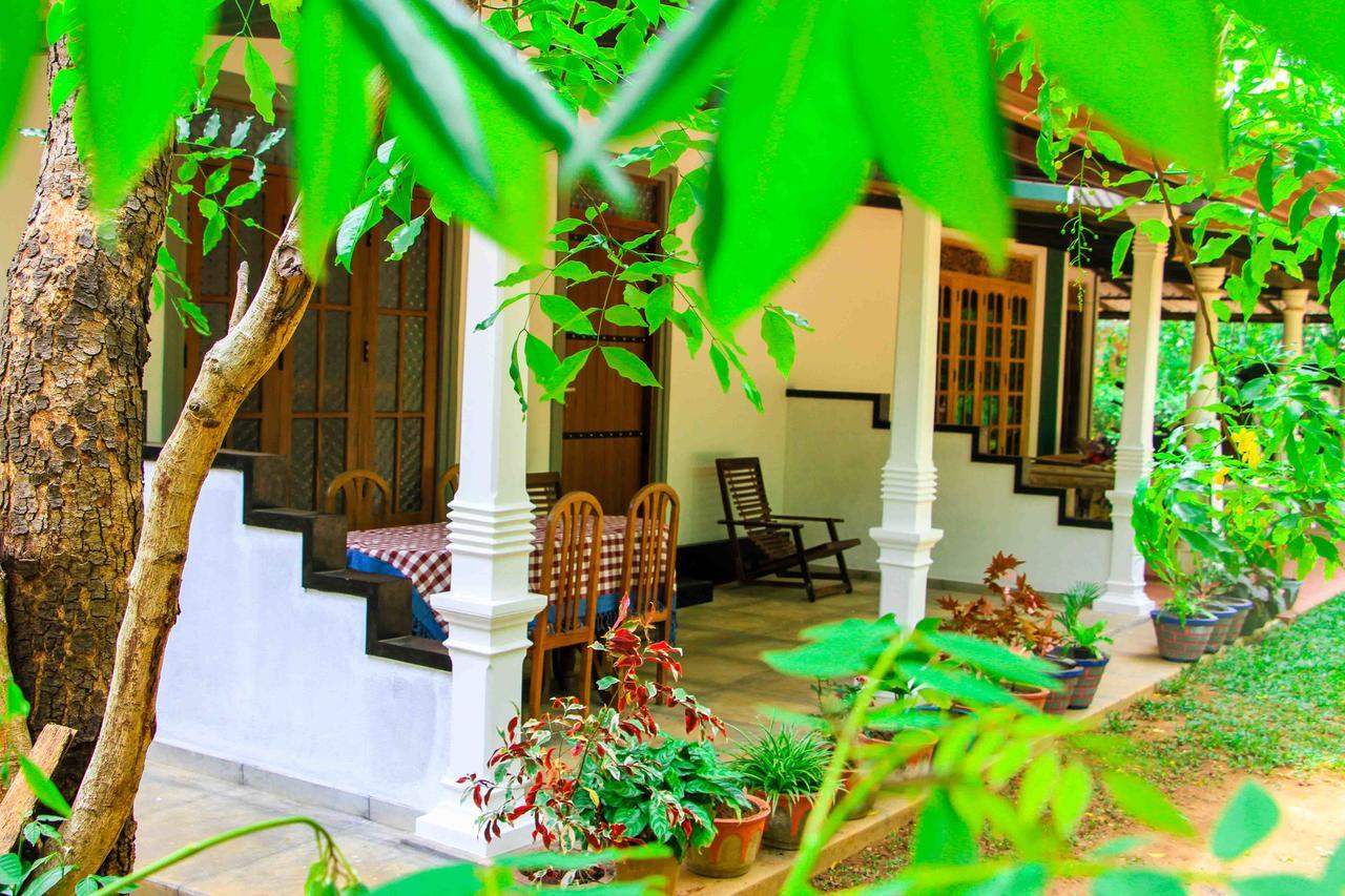 Sigiri Anu Homestay Sigiriya Exterior foto