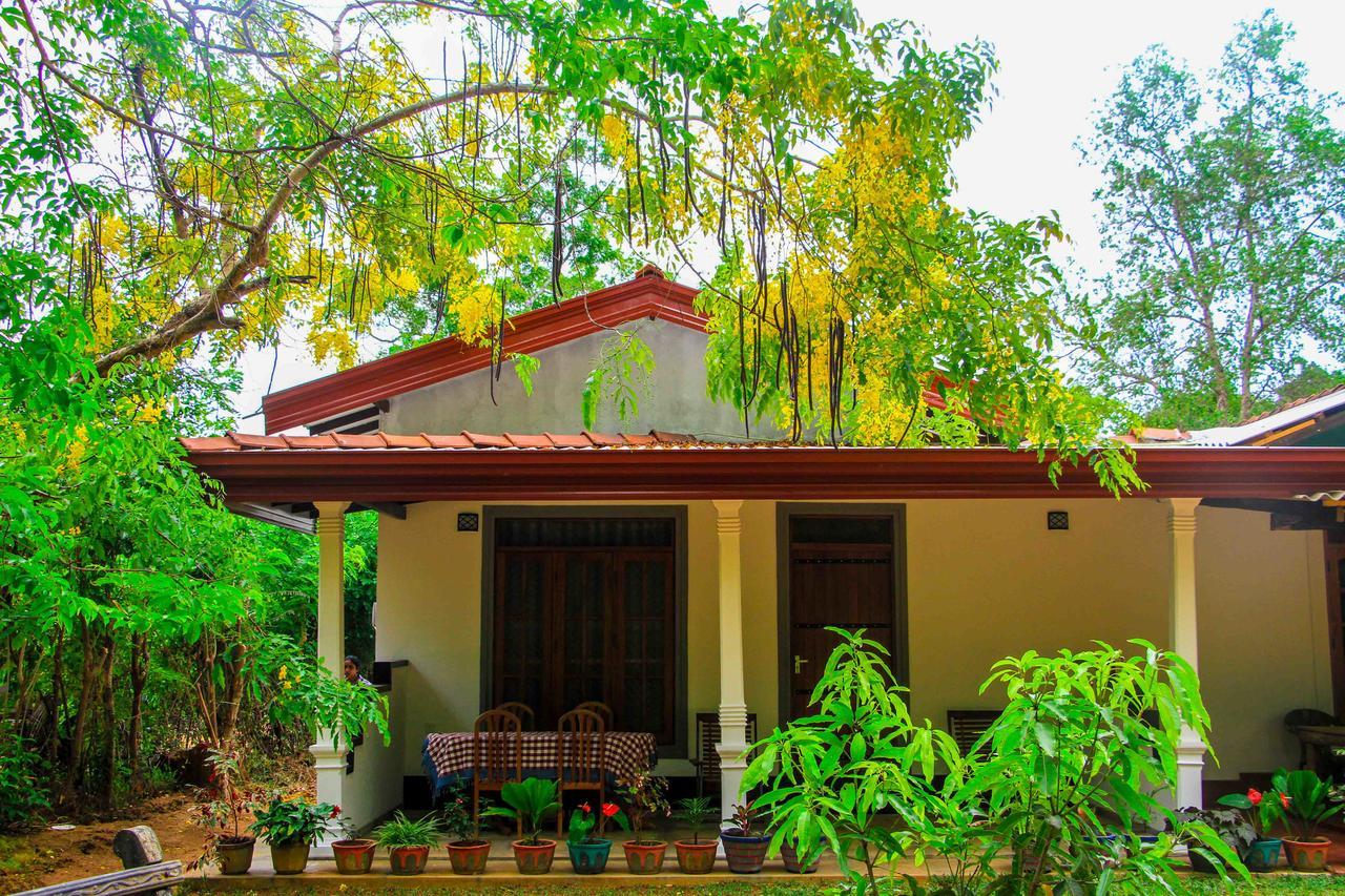 Sigiri Anu Homestay Sigiriya Exterior foto